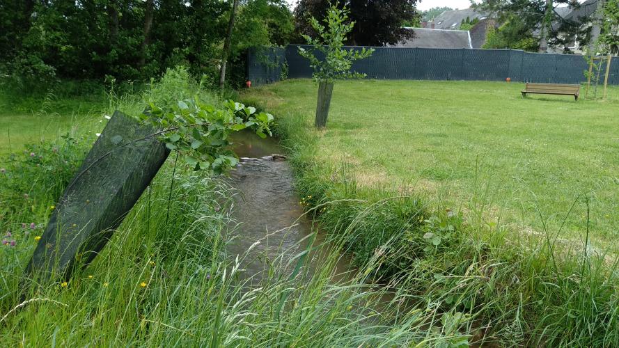 Saint-Martin d'Auxigny, le 23 mai 2023 ©ARB Centre-Val de Loire