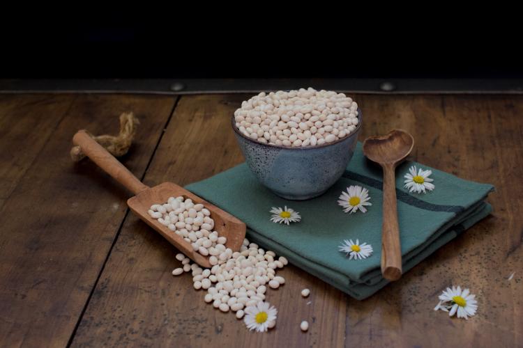 Haricots Comtesse de Chambord ©URGC