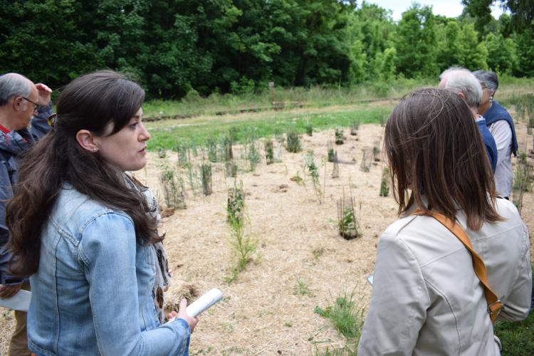 Balade urbaine à Neuville-aux-Bois en juin 2022 © PETR Forêt d'Orléans Loire-Sologne
