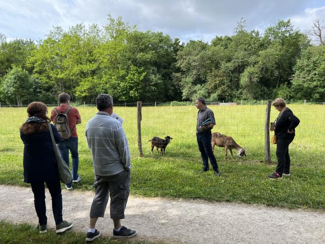 Rando-bio au Parc de Châteauneuf-sur-Loire - mai 2022 © PETR Forêt d'Orléans Loire-Sologne