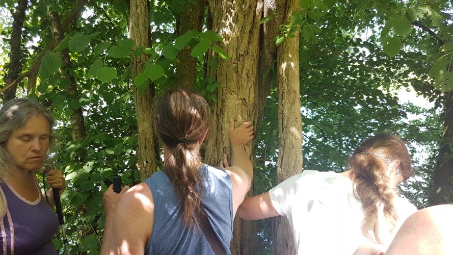 Animation pour des adultes porteurs d'un handicap visuel © Loar Légendre-Cheval