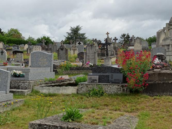  Cimetière Marceau © ARB-CVL