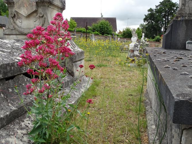  Cimetière Marceau © ARB-CVL