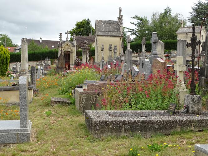  Cimetière Marceau © ARB-CVL