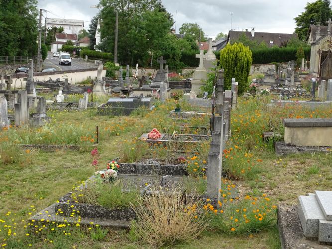  Cimetière Marceau © ARB-CVL