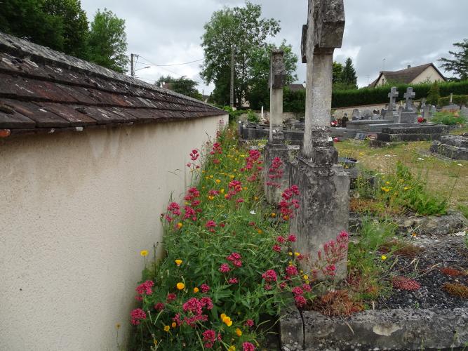 Cimetière Marceau © ARB-CVL