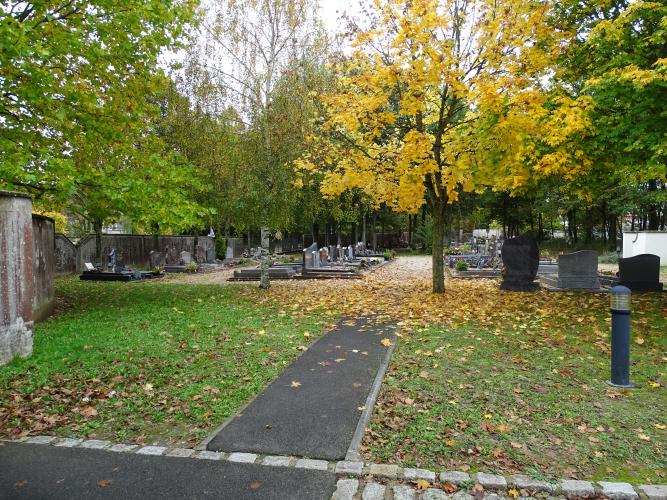 Cimetière de l'Orme © ARB-CVL