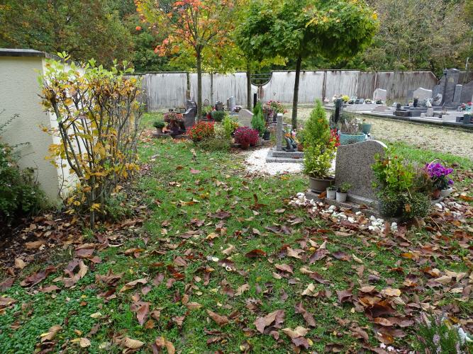 Cimetière de l'Orme © ARB-CVL