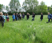 Atelier 1 : relevé floristique complet © M. Poiré, ARB