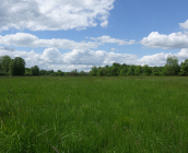 Les prairies du Fouzon © M. Poiré, ARB