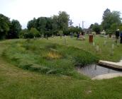 Echanges en petits groupes autour de la restauration des sources du Valentigny © ARB CVL