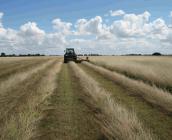 Prairie de fauche, plateau de Chabris ©L. Riollet