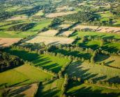 Bocage dans le Boischaut Sud ©N. Van Ingen