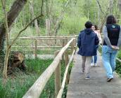 La zone humide aménagée à Mesland © ARB Centre-Val de Loire