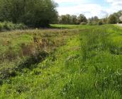 La Petite Cisse à Mesland © ARB Centre-Val de Loire