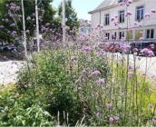 Buzançais © mairie de Buzançais