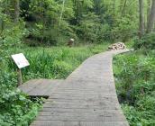 La zone humide aménagée à Mesland © ARB Centre-Val de Loire