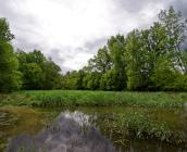 Rives de l'Ousson © François Hergott