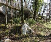 Bois des Roches au printemps @ Michel Prévost