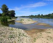 Vallée de la Loire © CBNBP - Anne-Hélène Paradis