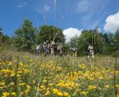 Observation de la flore d'une pelouse calcaire - Julien MONDION (CBNBP)