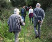 Groupe en direction du marais - Julien MONDION (CBNBP)