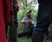 Florient explique les critères de reconnaissance d'un champignon - Julien MONDION (CBNBP)