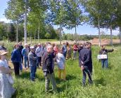 Echanges autour de la gestion des prairies humides abritant l'Azuré de la Sanguisorbe à Bourgueil en 2023 © ARB-CVL
