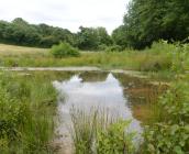 Mare agricole ©Eure-et-Loir Nature