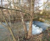 Ex ouvrage sur le Moulin d'Arrivay -41(photo d'avant) ©J. Prosper, AFPCVL
