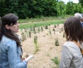 Balade urbaine à Neuville-aux-Bois en juin 2022 © PETR Forêt d'Orléans Loire-Sologne