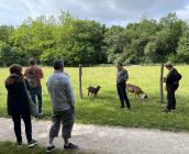 Rando-bio au Parc de Châteauneuf-sur-Loire - mai 2022 © PETR Forêt d'Orléans Loire-Sologne
