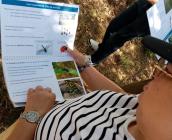 Test du livret FALC en animation © Virginie Simonneau