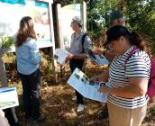 Test du livret FALC en animation © Virginie Simonneau