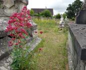  Cimetière Marceau © ARB-CVL