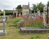  Cimetière Marceau © ARB-CVL