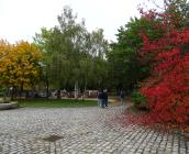 Cimetière de l'Orme © ARB-CVL