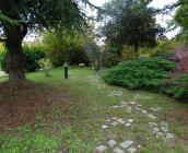 Cimetière de l'Orme © ARB-CVL