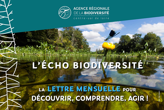 Agence Régionale de la Biodiversité